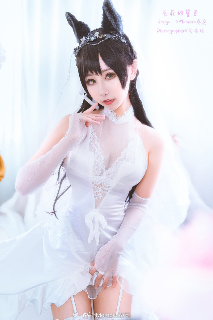 图片[7]_Momoko葵葵化身《碧蓝航线》爱宕 白花舞动展现迷人风采_萌VLOG